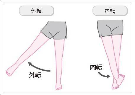 股関節内外転