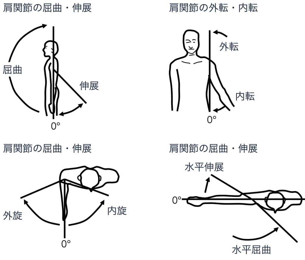 http://www.study-channel.com/2015/06/ROM-upper-limbs.htmlより